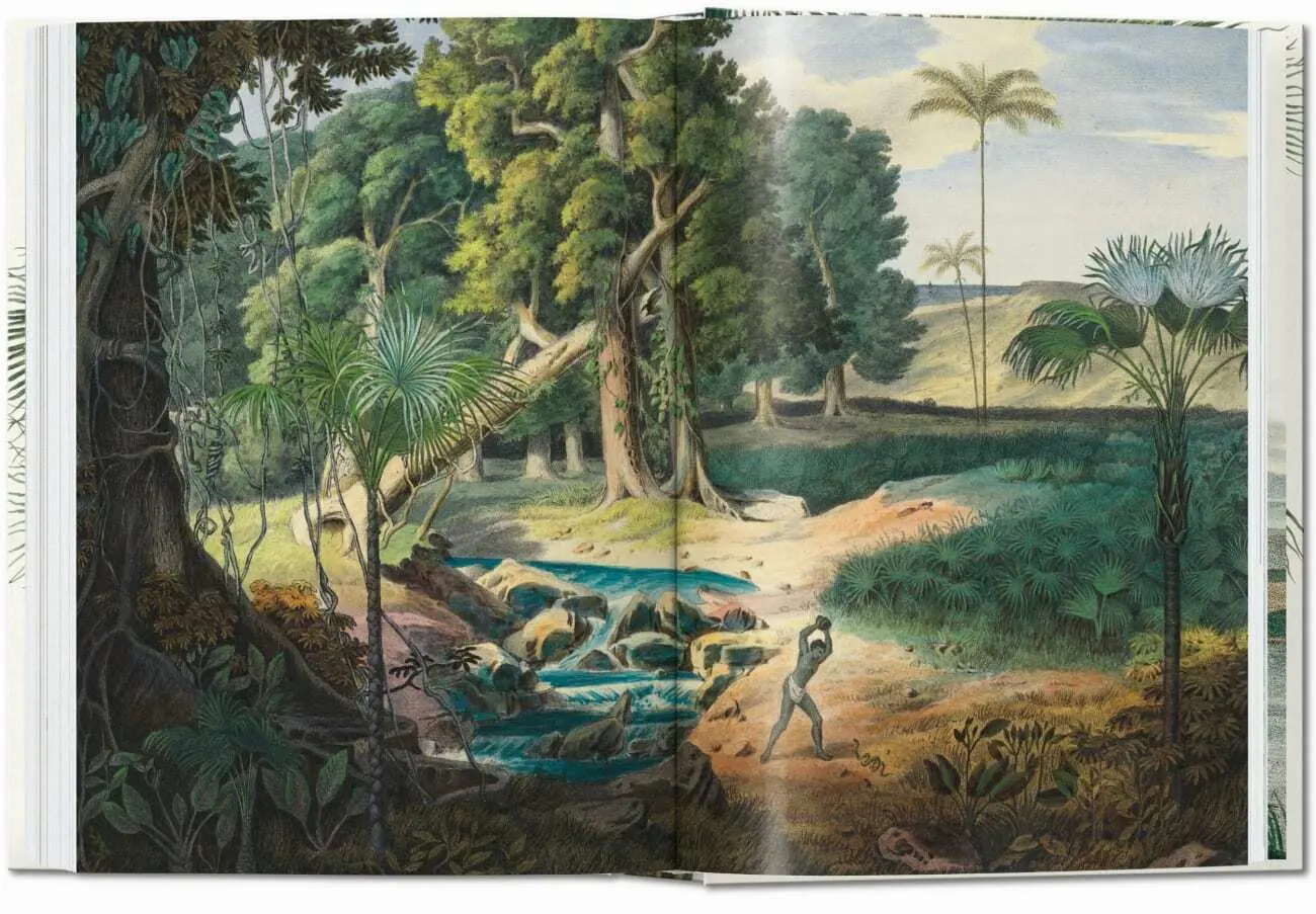 Bild: 9783836587822 | Martius. El libro de las palmeras. 45th Ed. | H. Walter Lack | Buch