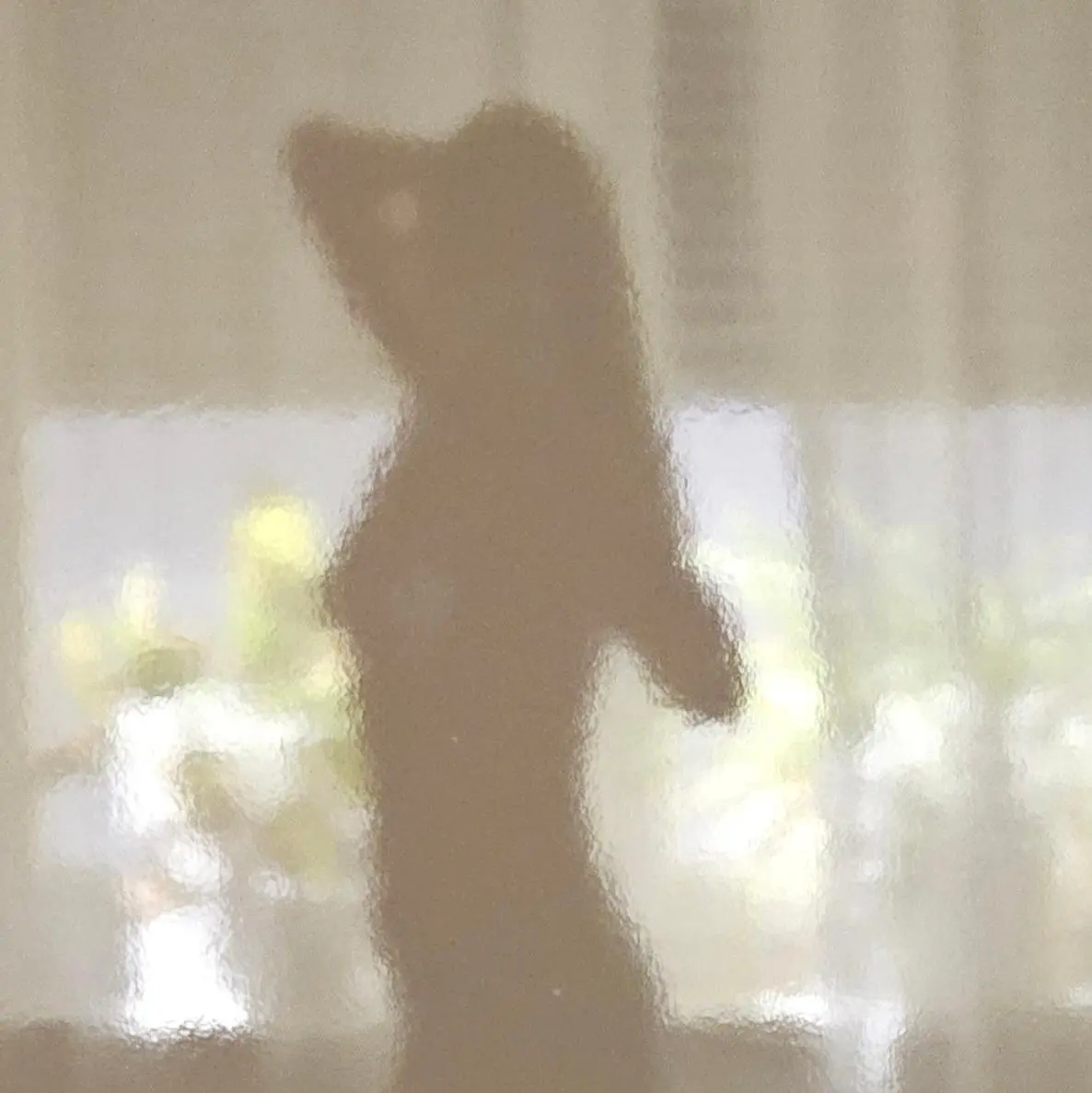 Autor: 9783384667922 | Sex Sehn Sucht - Doppelband | So geht es weiter mit "Sex und Sonne"