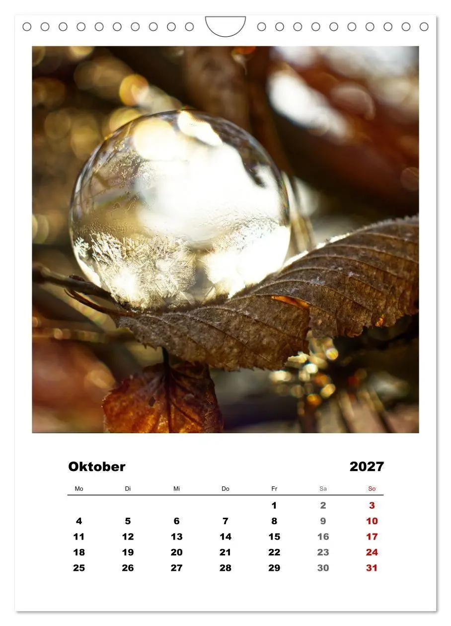 Bild: 9783569417922 | Frostige Seifenblasen (Wandkalender 2027 DIN A4 hoch), CALVENDO...