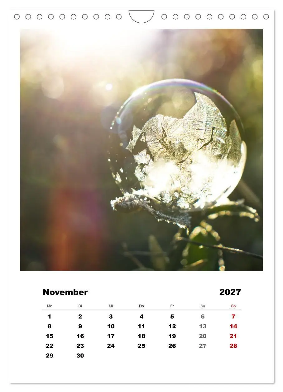 Bild: 9783569417922 | Frostige Seifenblasen (Wandkalender 2027 DIN A4 hoch), CALVENDO...