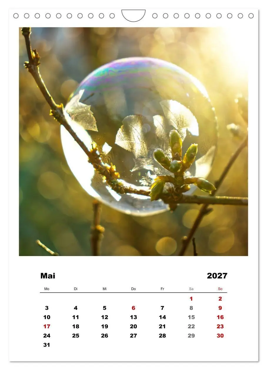 Bild: 9783569417922 | Frostige Seifenblasen (Wandkalender 2027 DIN A4 hoch), CALVENDO...