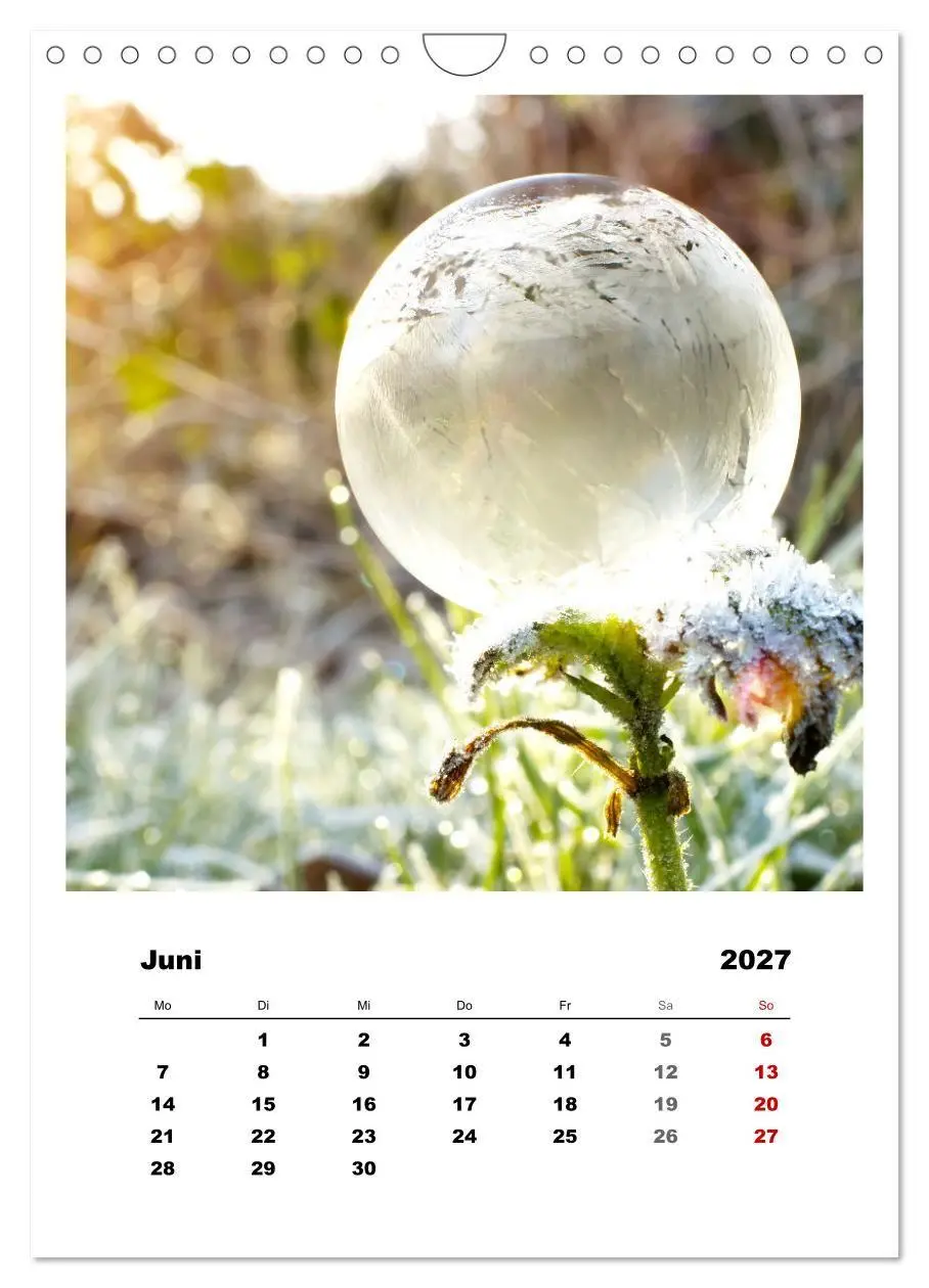 Bild: 9783569417922 | Frostige Seifenblasen (Wandkalender 2027 DIN A4 hoch), CALVENDO...