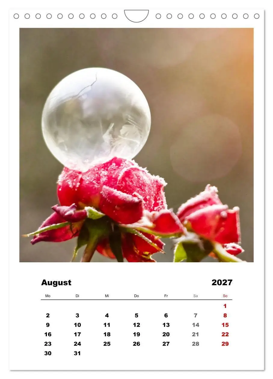 Bild: 9783569417922 | Frostige Seifenblasen (Wandkalender 2027 DIN A4 hoch), CALVENDO...