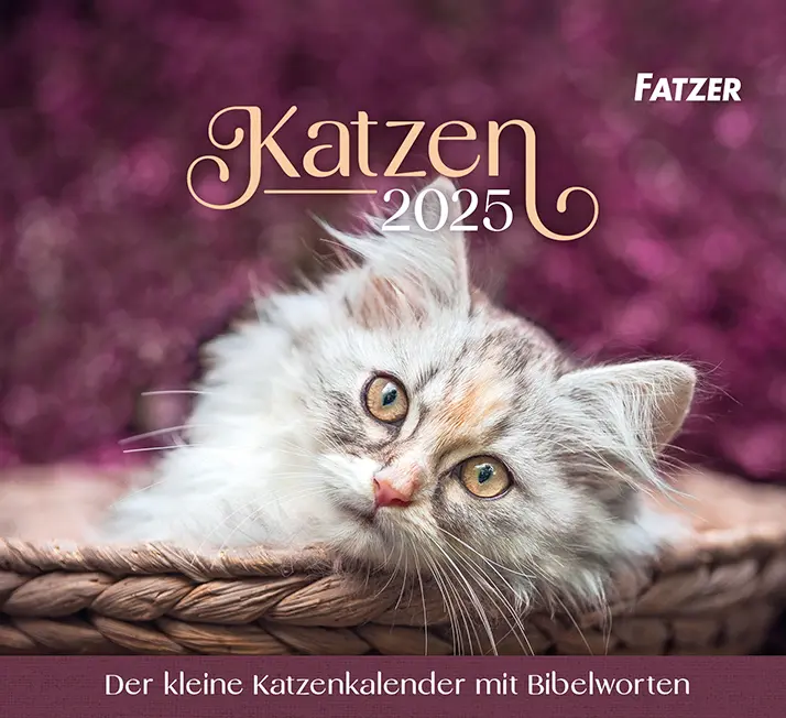 Cover: 9783866037922 | Katzen - Tischkalender 2025 | 13 S., 13 Farbfotos, 13 Illustr. | 2025