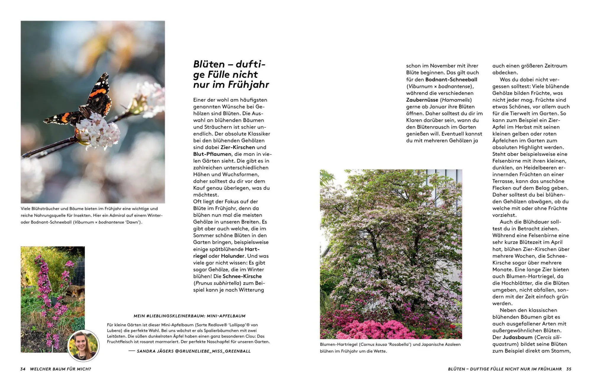 Bild: 9783912078022 | Kleine Bäume für den Garten | Sonja Di Leo (u. a.) | Buch | 160 S.