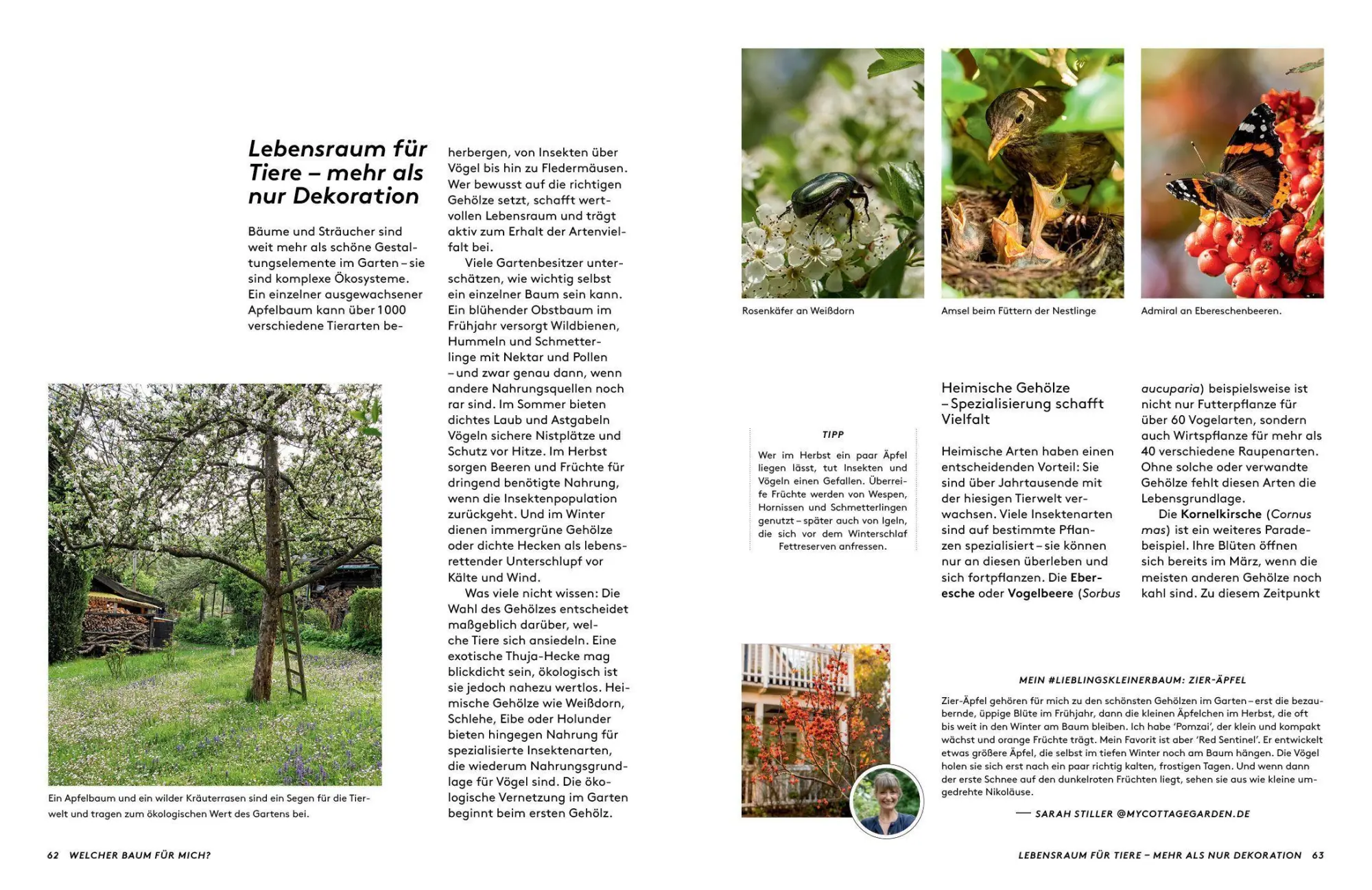 Bild: 9783912078022 | Kleine Bäume für den Garten | Sonja Di Leo (u. a.) | Buch | 160 S.