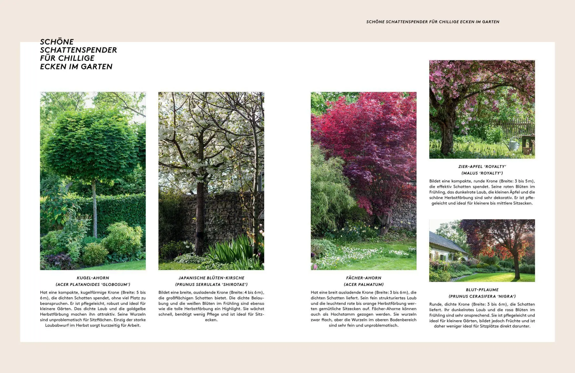 Bild: 9783912078022 | Kleine Bäume für den Garten | Sonja Di Leo (u. a.) | Buch | 160 S.