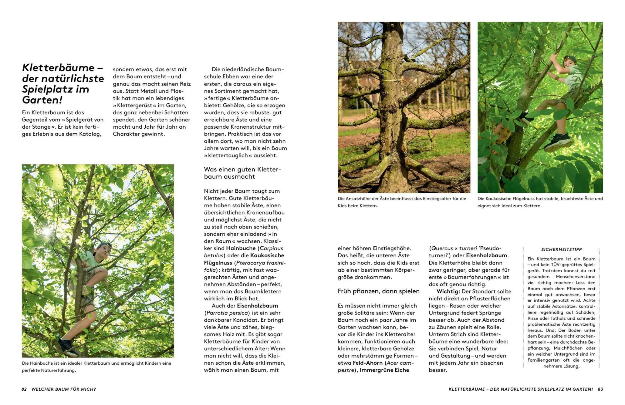 Bild: 9783912078022 | Kleine Bäume für den Garten | Sonja Di Leo (u. a.) | Buch | 160 S.