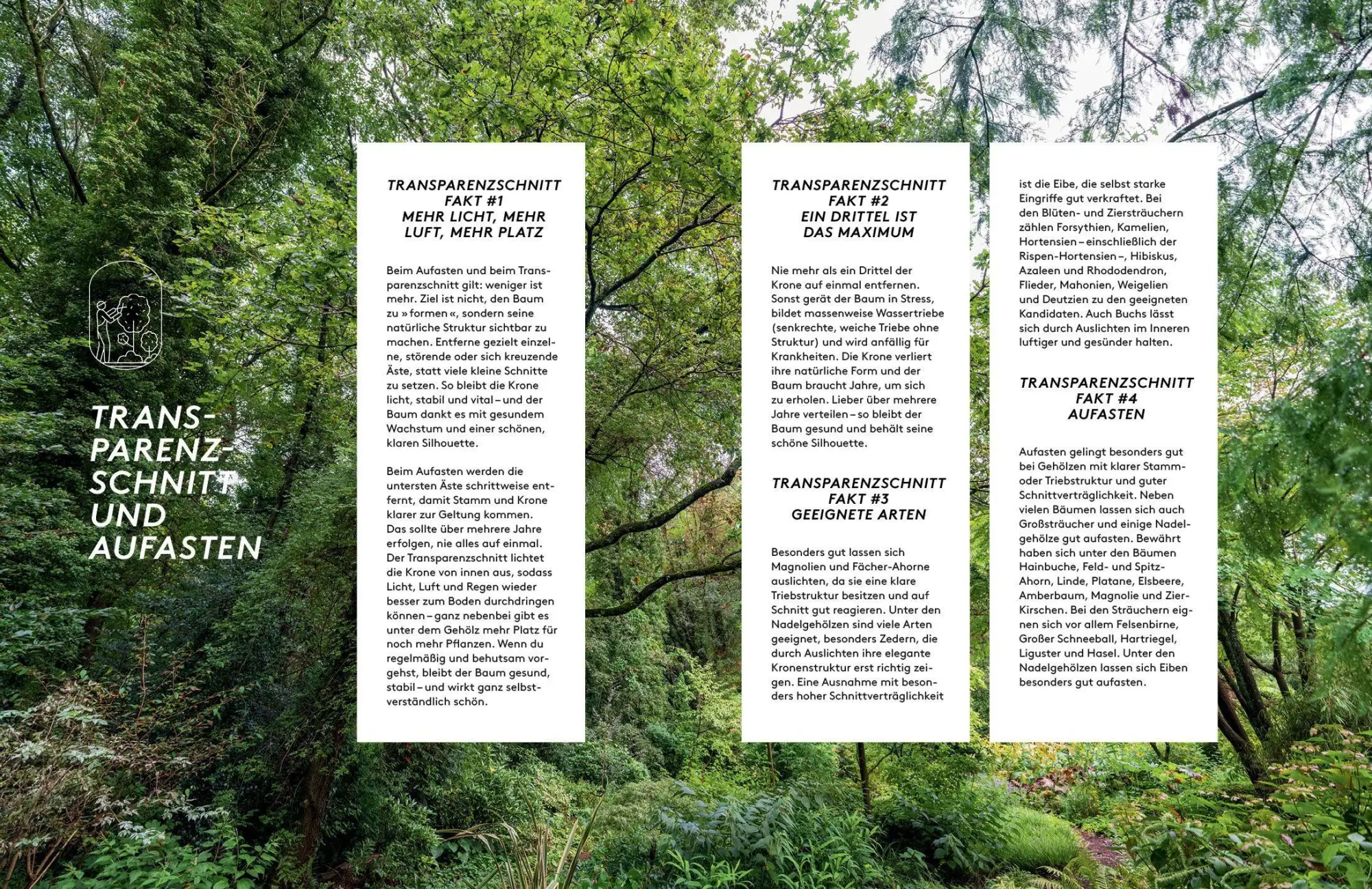 Bild: 9783912078022 | Kleine Bäume für den Garten | Sonja Di Leo (u. a.) | Buch | 160 S.
