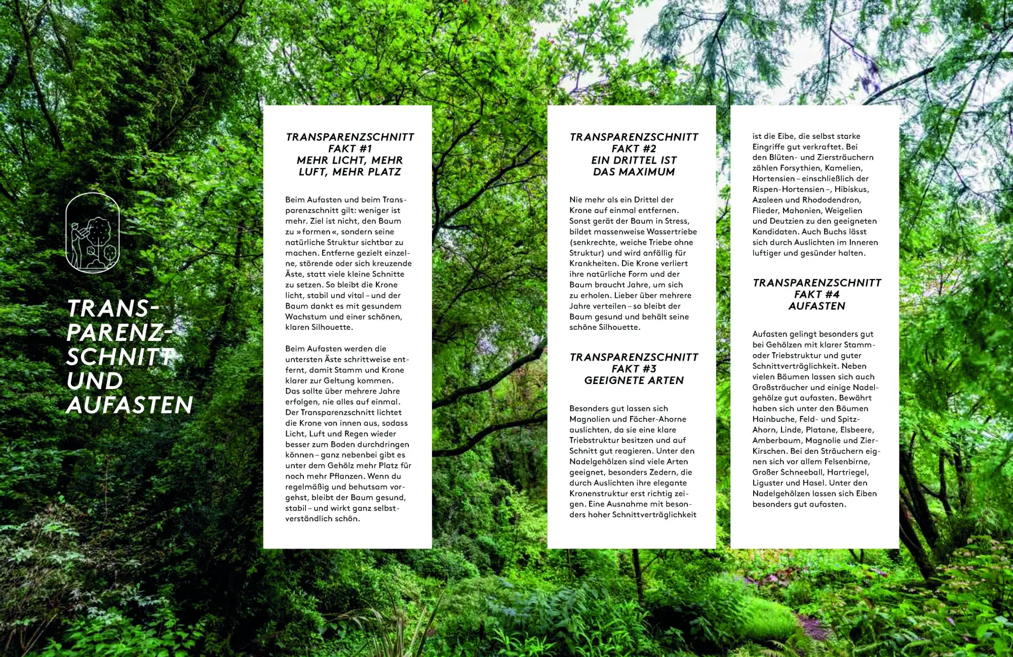 Bild: 9783912078022 | Kleine Bäume für den Garten | Sonja Di Leo (u. a.) | Buch | 160 S.