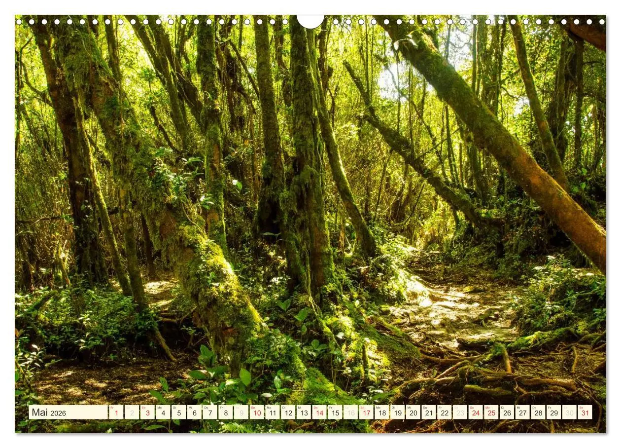 Bild: 9783516068122 | Unterwegs in Malaysia (Wandkalender 2026 DIN A3 quer), CALVENDO...