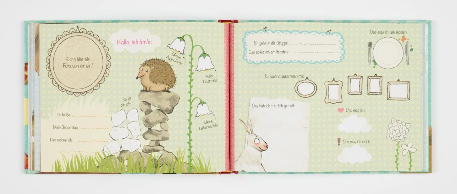 Bild: 9783522458122 | Mein Haufen Freunde - Kindergartenalbum | Kerstin Schoene | Buch
