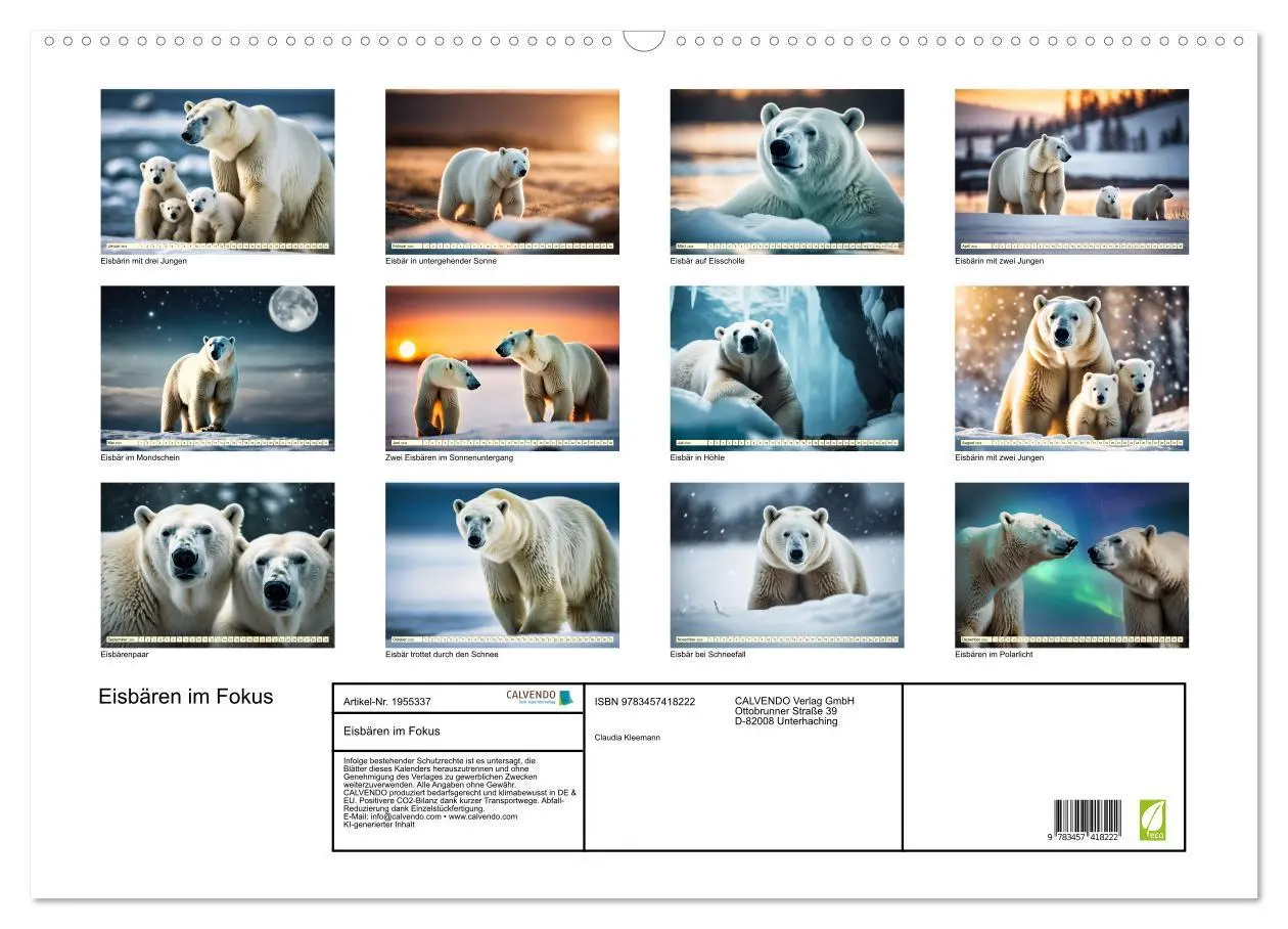 Bild: 9783457418222 | Eisbären im Fokus (Wandkalender 2026 DIN A2 quer), CALVENDO...
