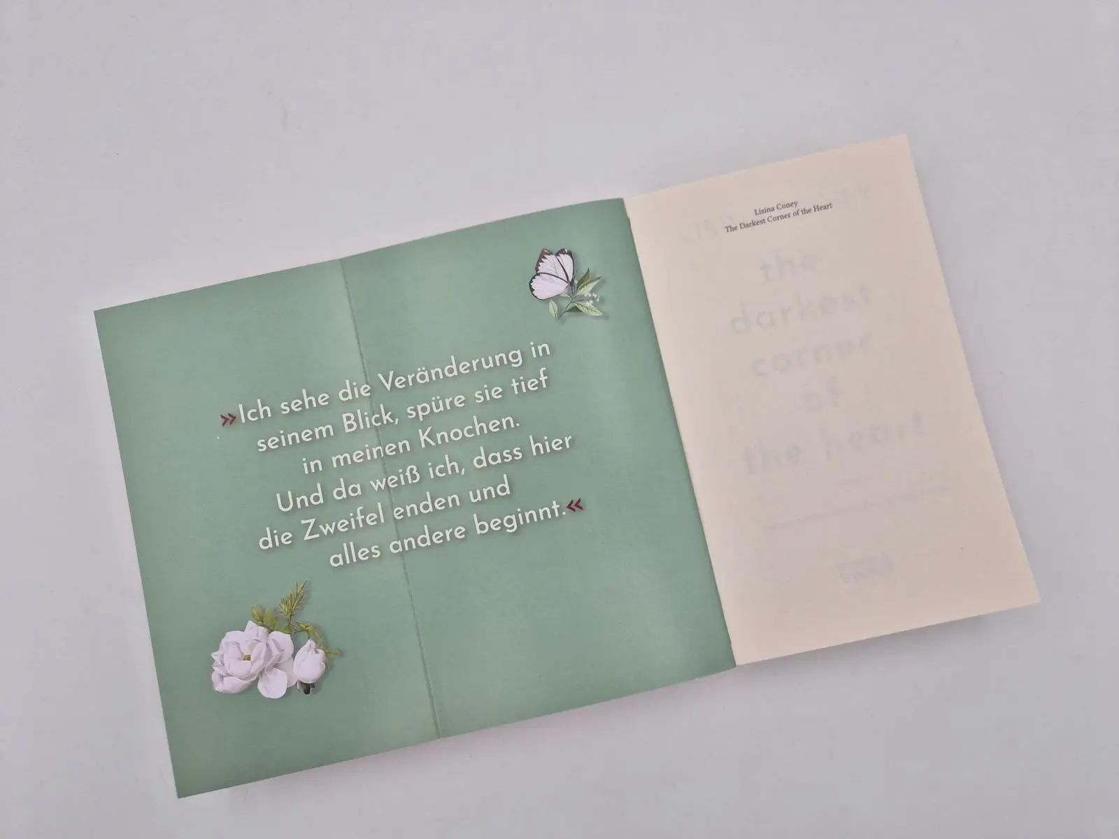 Bild: 9783492068222 | The Darkest Corner of the Heart | Lisina Coney | Taschenbuch | 464 S.