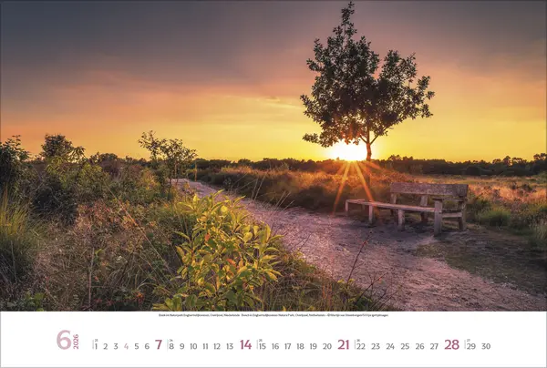 Bild: 9783731888222 | Lieblingsplätze 2026 | Verlag Korsch | Kalender | 14 S. | Deutsch