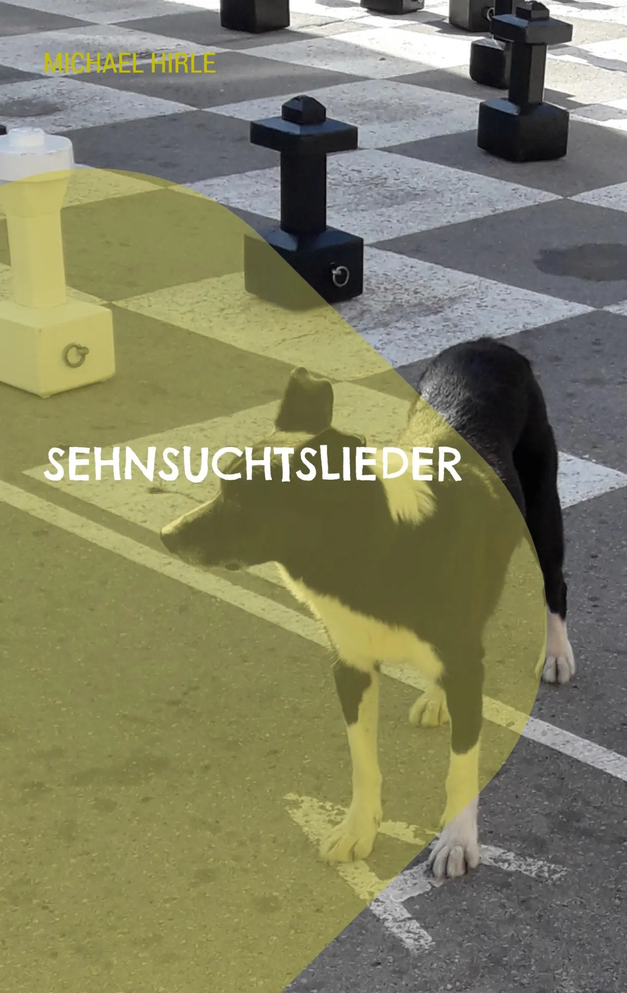 Cover: 9783756258222 | Sehnsuchtslieder | Michael Hirle | Taschenbuch | Paperback | 288 S.