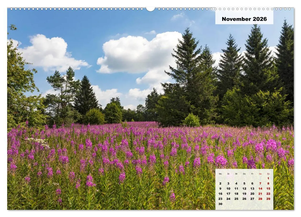 Bild: 9783457718322 | Rhöner Röschen - ein Sommermärchen in der Hochrhön (hochwertiger...