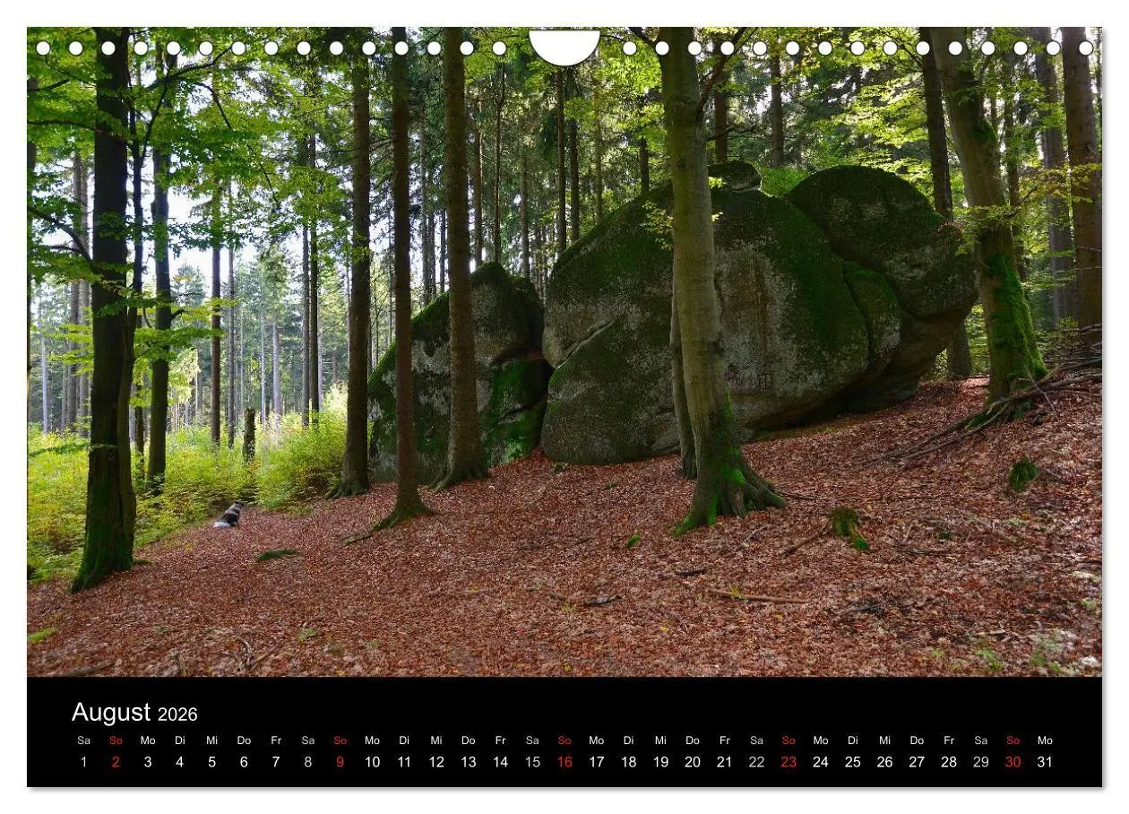 Bild: 9783516118322 | Rund um den Ochsenkopf (Wandkalender 2026 DIN A4 quer), CALVENDO...