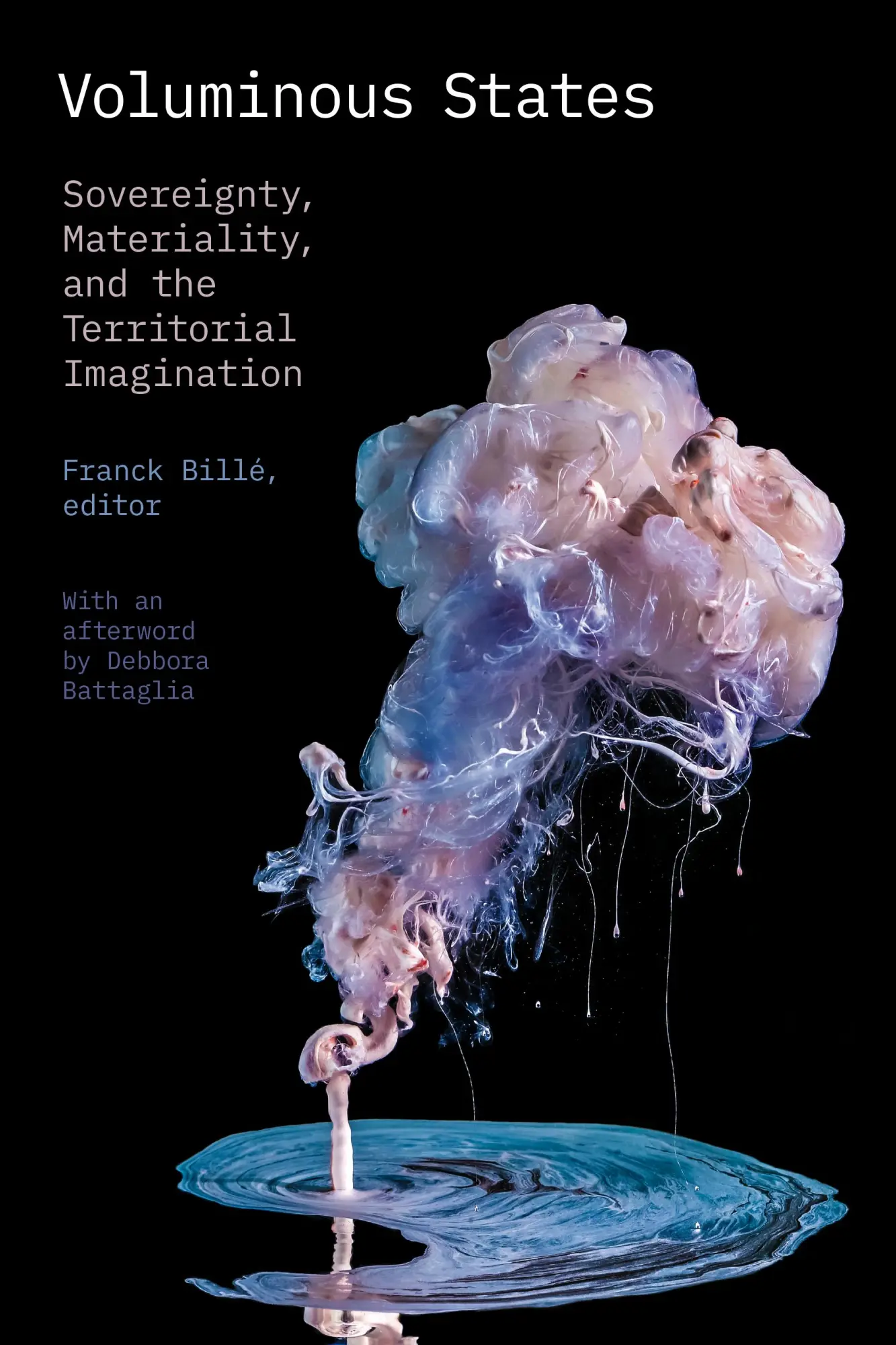 Cover: 9781478008422 | Voluminous States | Franck Billé | Taschenbuch | Englisch | 2020