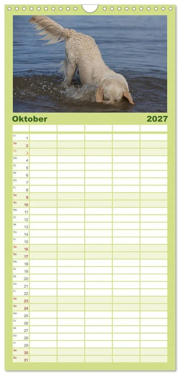 Bild: 9783594328422 | Familienplaner 2027 - Hunde Action mit 5 Spalten (Wandkalender, 21...