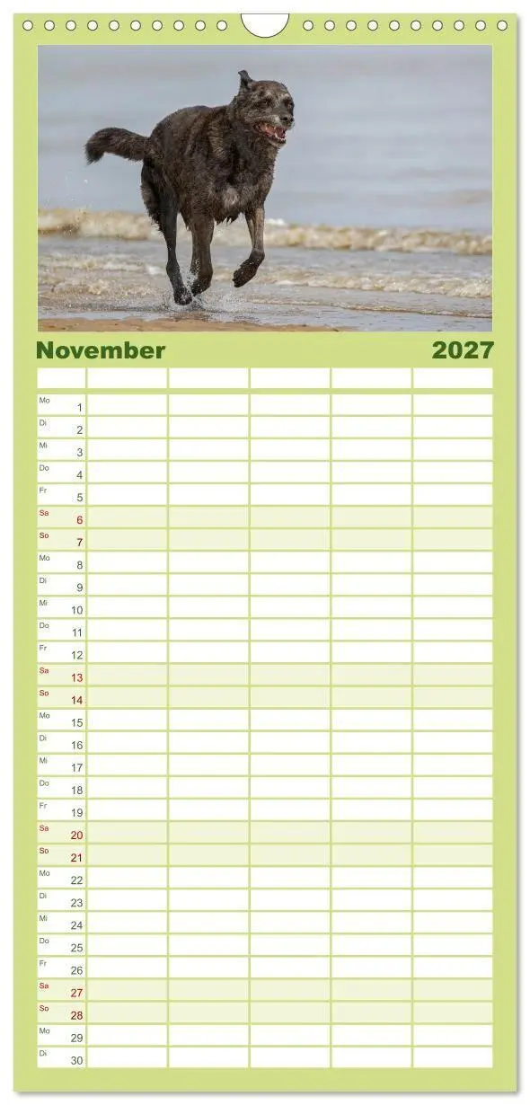 Bild: 9783594328422 | Familienplaner 2027 - Hunde Action mit 5 Spalten (Wandkalender, 21...