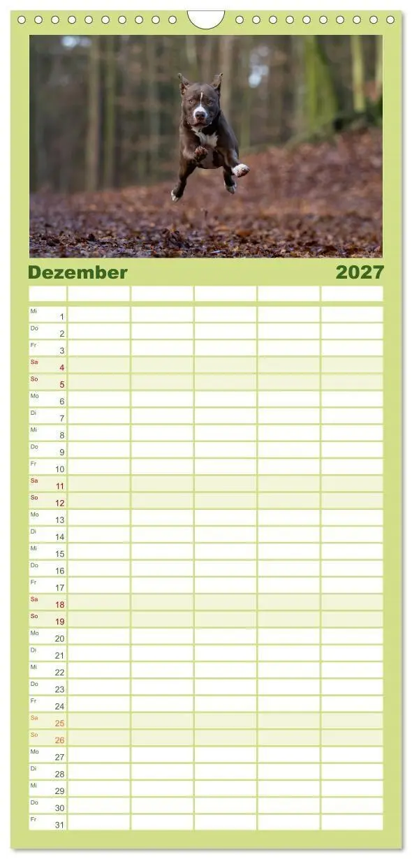 Bild: 9783594328422 | Familienplaner 2027 - Hunde Action mit 5 Spalten (Wandkalender, 21...