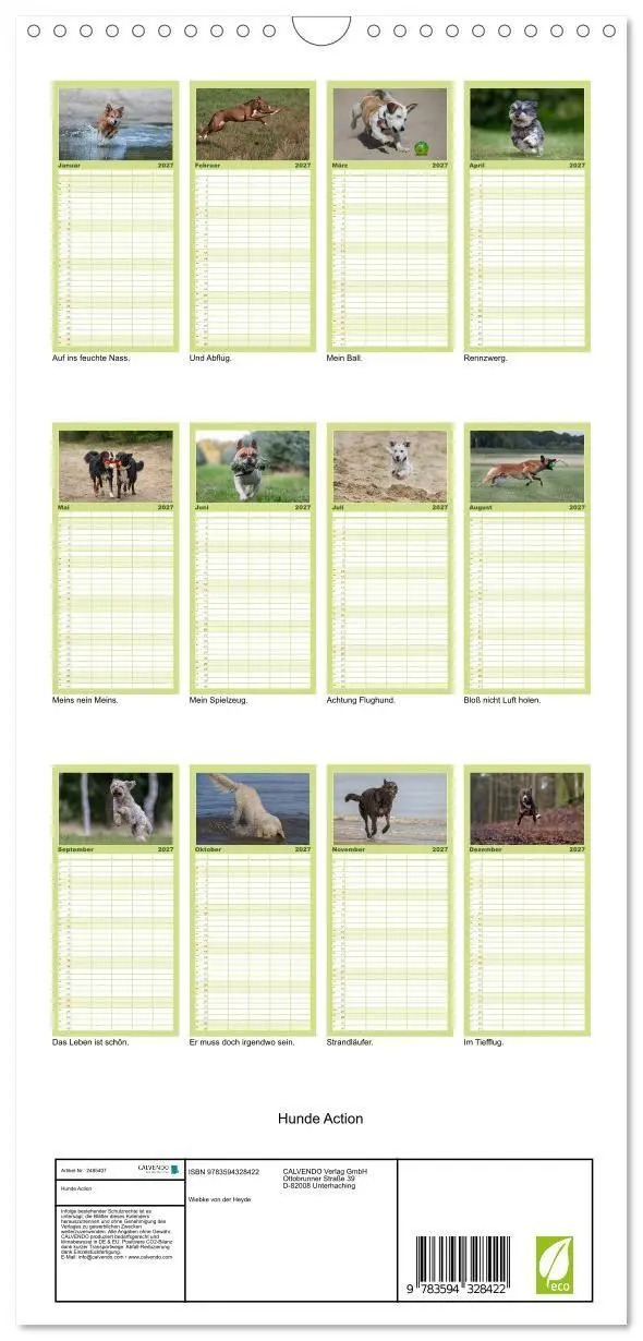 Bild: 9783594328422 | Familienplaner 2027 - Hunde Action mit 5 Spalten (Wandkalender, 21...