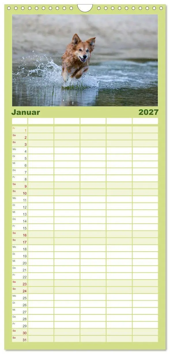 Bild: 9783594328422 | Familienplaner 2027 - Hunde Action mit 5 Spalten (Wandkalender, 21...