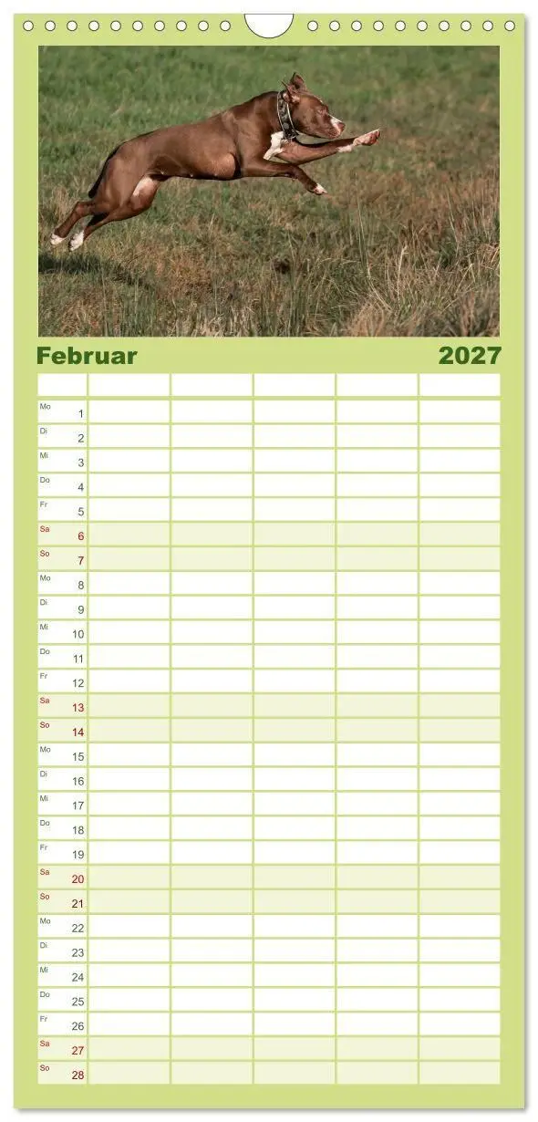 Bild: 9783594328422 | Familienplaner 2027 - Hunde Action mit 5 Spalten (Wandkalender, 21...