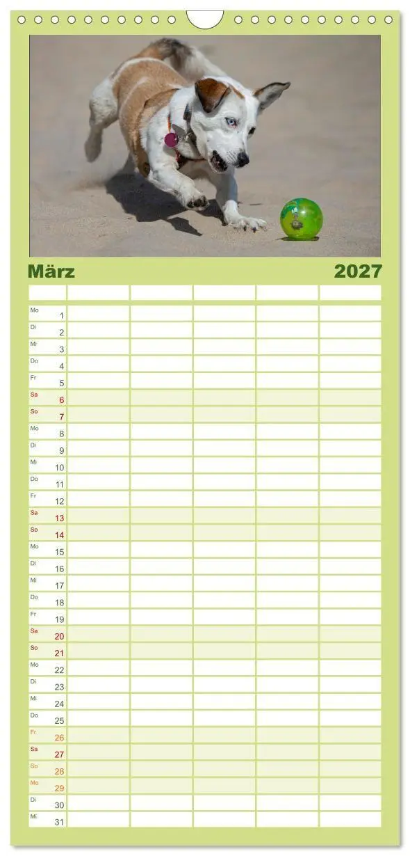 Bild: 9783594328422 | Familienplaner 2027 - Hunde Action mit 5 Spalten (Wandkalender, 21...