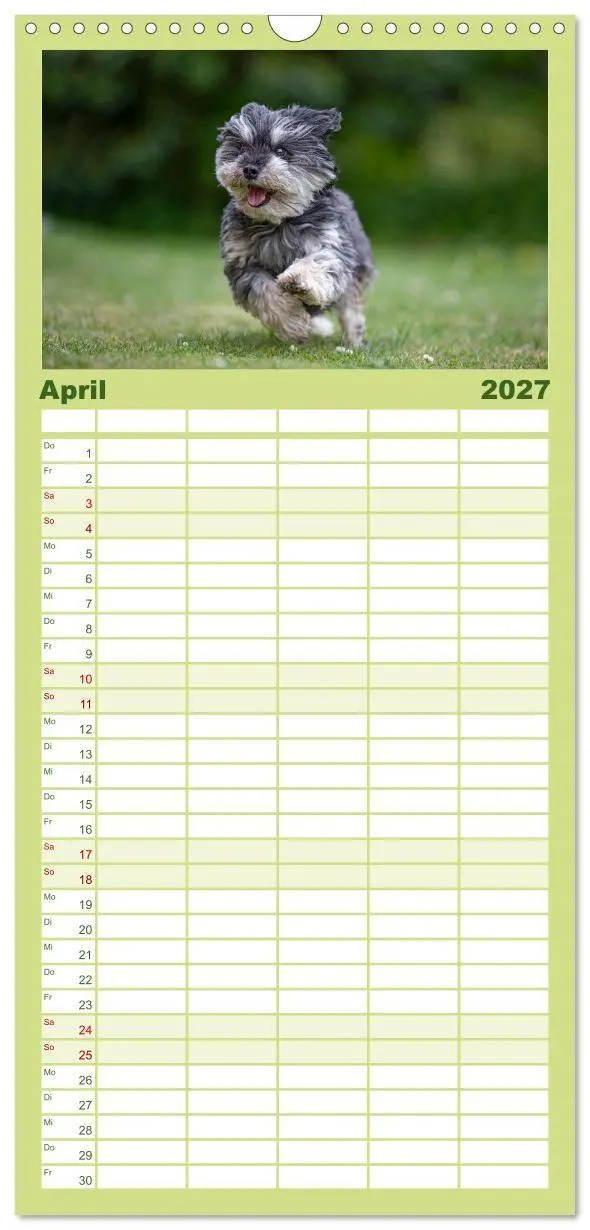 Bild: 9783594328422 | Familienplaner 2027 - Hunde Action mit 5 Spalten (Wandkalender, 21...