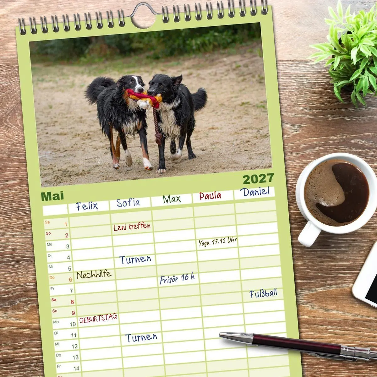 Bild: 9783594328422 | Familienplaner 2027 - Hunde Action mit 5 Spalten (Wandkalender, 21...