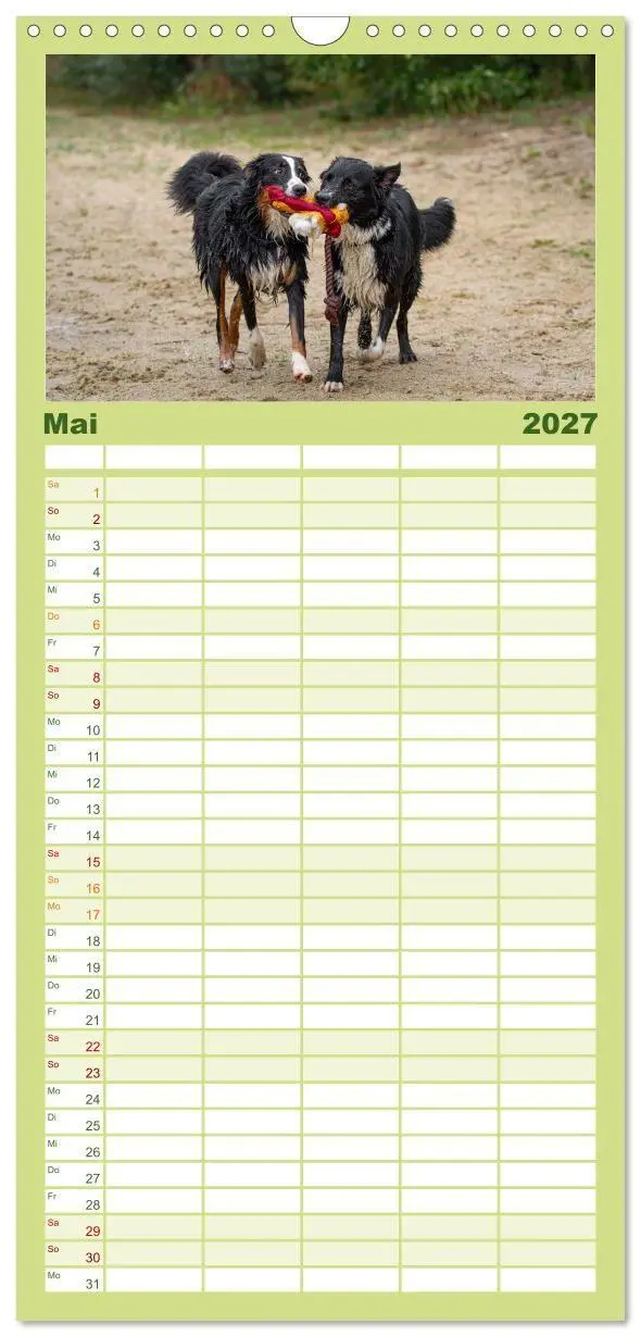 Bild: 9783594328422 | Familienplaner 2027 - Hunde Action mit 5 Spalten (Wandkalender, 21...