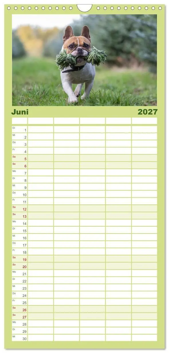 Bild: 9783594328422 | Familienplaner 2027 - Hunde Action mit 5 Spalten (Wandkalender, 21...