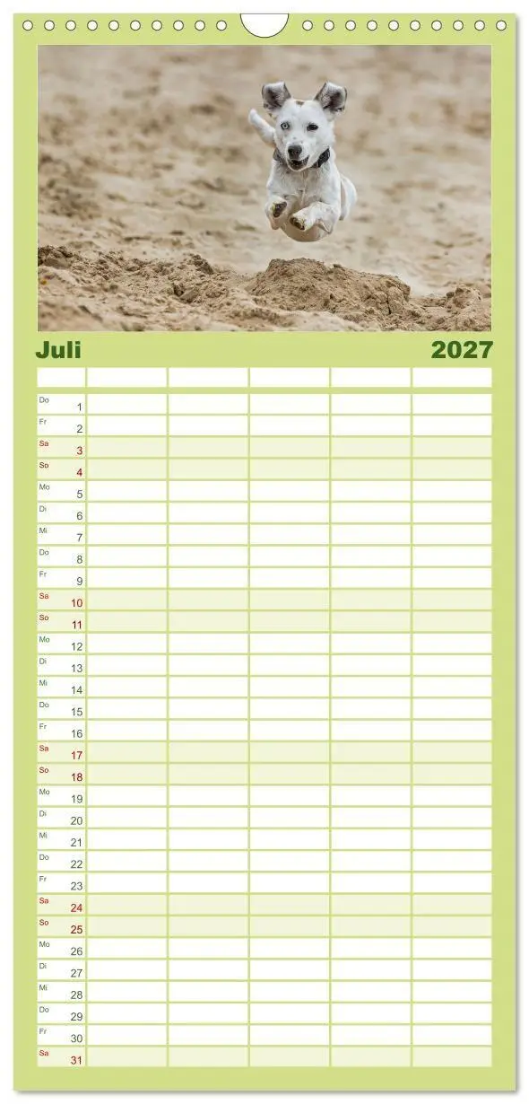 Bild: 9783594328422 | Familienplaner 2027 - Hunde Action mit 5 Spalten (Wandkalender, 21...