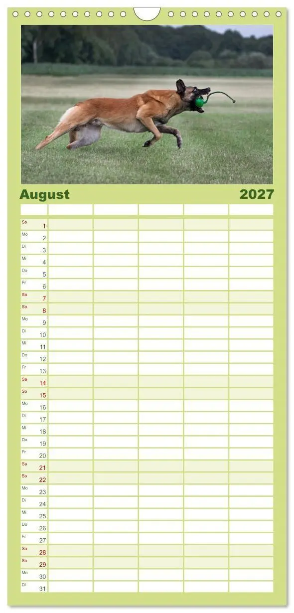 Bild: 9783594328422 | Familienplaner 2027 - Hunde Action mit 5 Spalten (Wandkalender, 21...