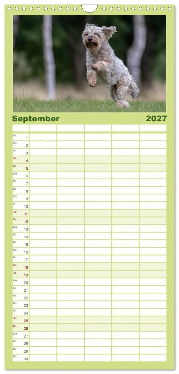 Bild: 9783594328422 | Familienplaner 2027 - Hunde Action mit 5 Spalten (Wandkalender, 21...