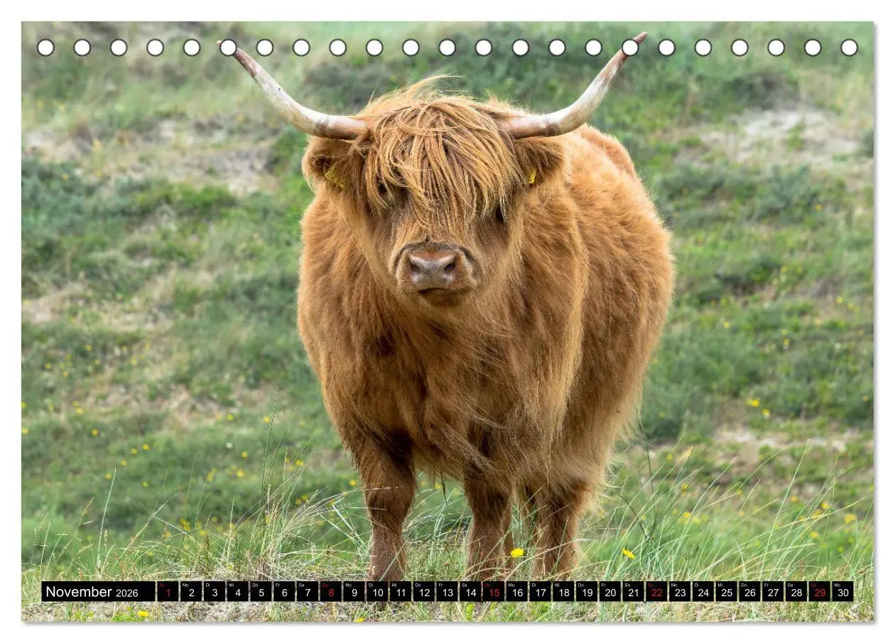 Bild: 9783457928622 | Egmond aan Zee - Natürlich (Tischkalender 2026 DIN A5 quer),...