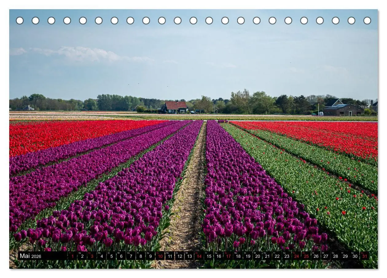 Bild: 9783457928622 | Egmond aan Zee - Natürlich (Tischkalender 2026 DIN A5 quer),...