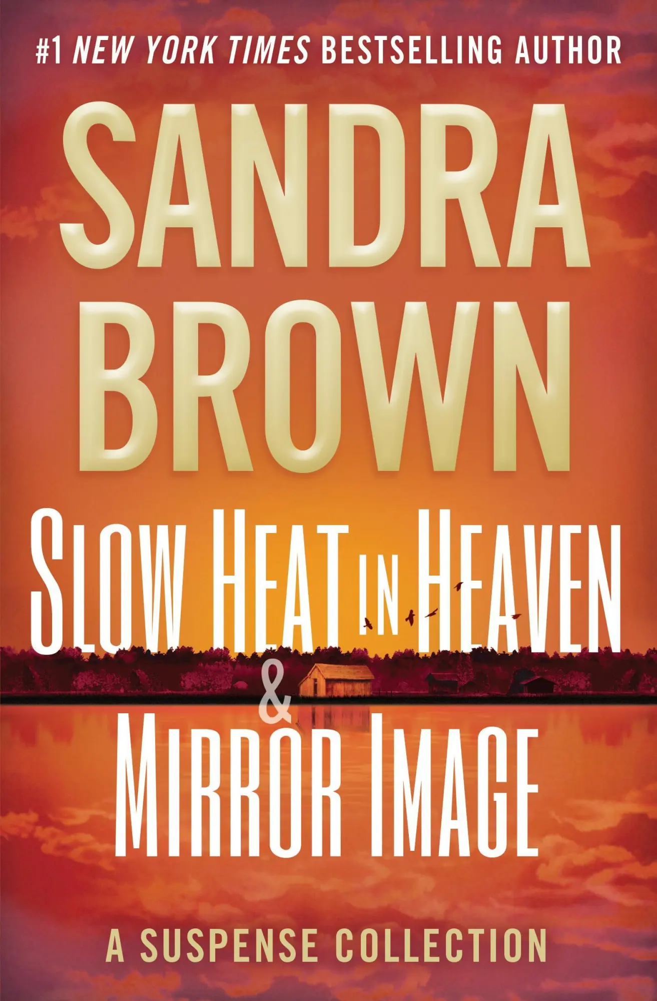 Cover: 9781538768822 | Slow Heat in Heaven &amp; Mirror Image: A Suspense Collection | Brown
