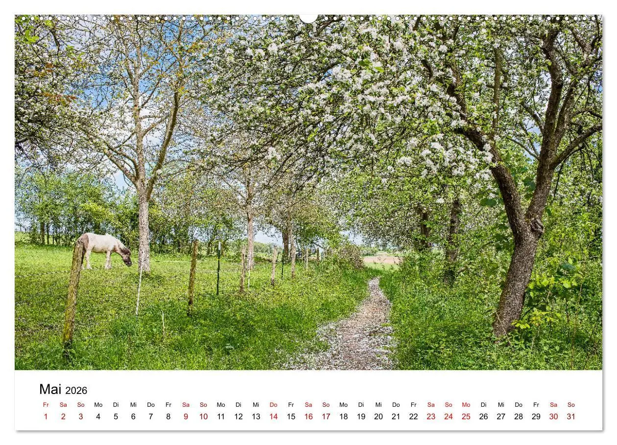 Bild: 9783457768822 | Höhepunkte des Siebengebirges (hochwertiger Premium Wandkalender...