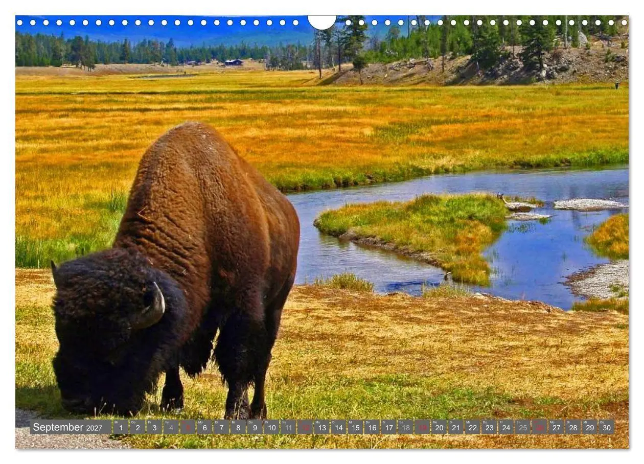Bild: 9783594148822 | Wyoming ¿ Impressionen (Wandkalender 2027 DIN A3 quer), CALVENDO...