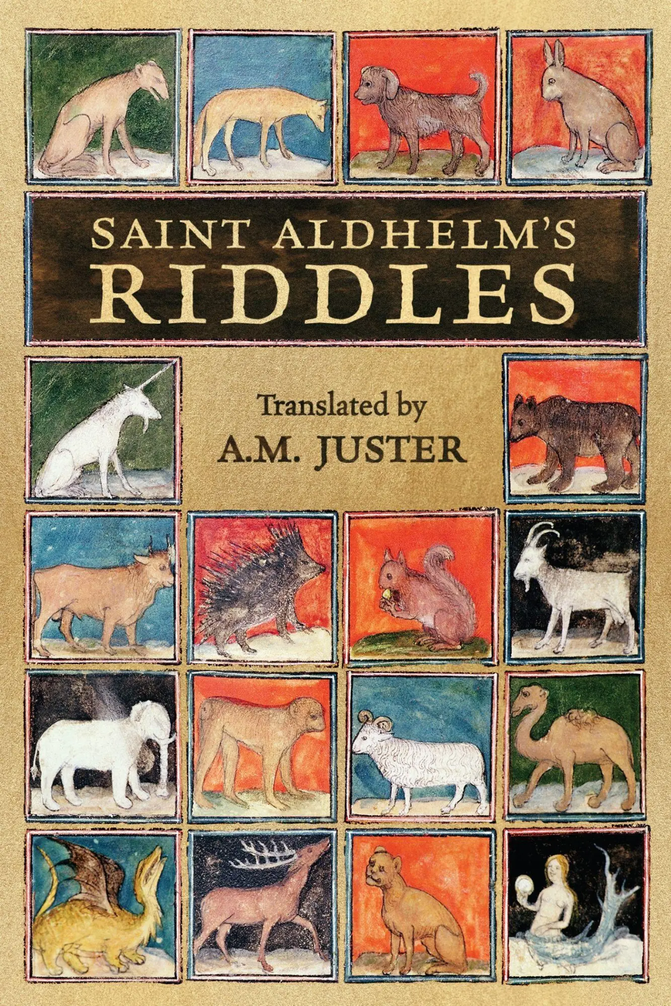 Cover: 9781442628922 | Saint Aldhelm's Riddles | Saint Aldhelm | Taschenbuch | Englisch