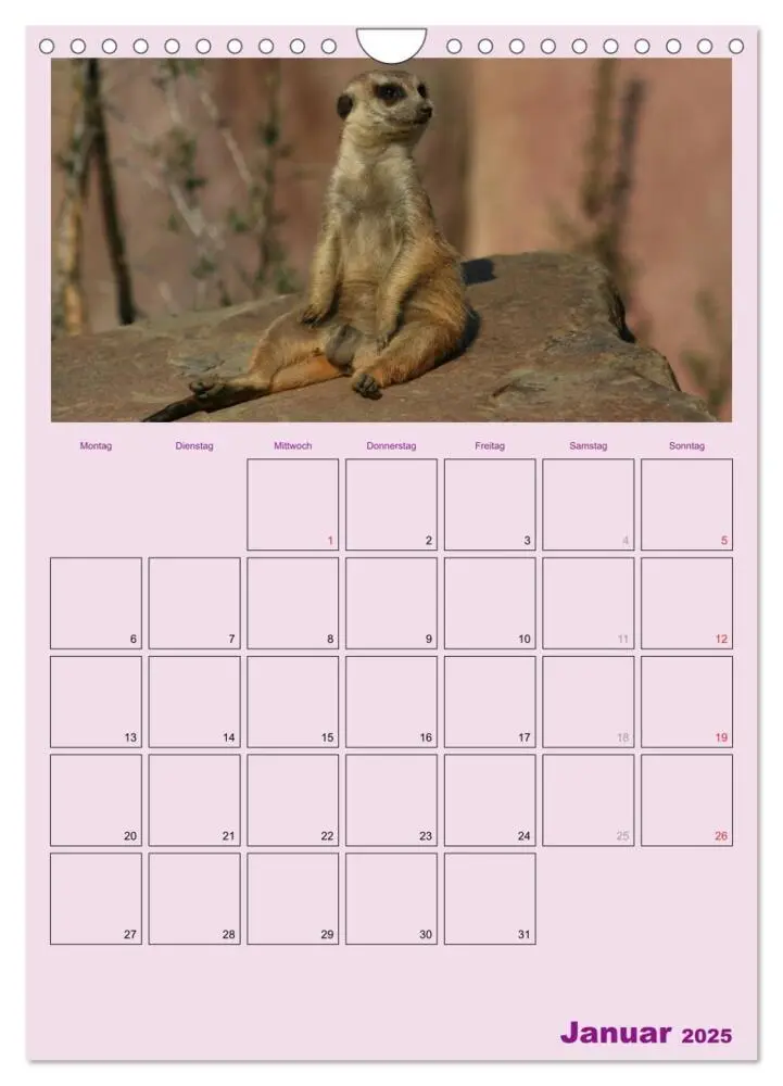 Bild: 9783457068922 | Erdmännchen / Terminplaner (Wandkalender 2025 DIN A4 hoch),...