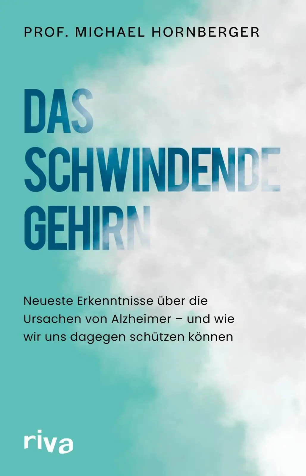 Cover: 9783742328922 | Das schwindende Gehirn | Michael Hornberger | Buch | 240 S. | Deutsch