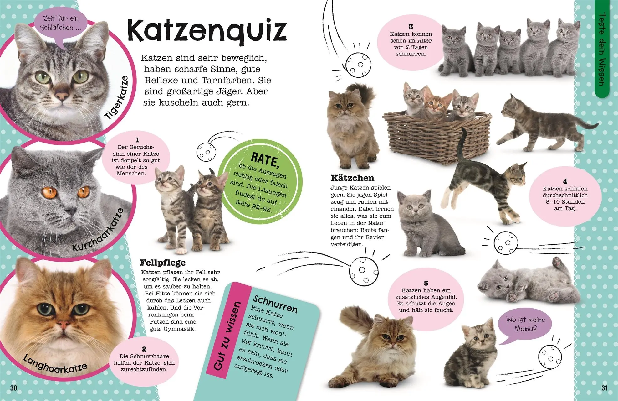 Bild: 9783831048922 | Mein Mitmach-Wissens-Kick. Tiere | DK Verlag - Kids | Taschenbuch