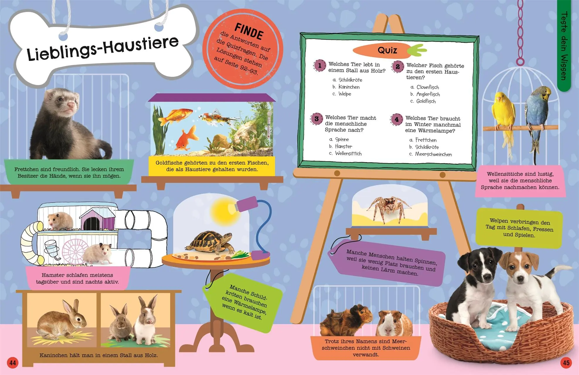 Bild: 9783831048922 | Mein Mitmach-Wissens-Kick. Tiere | DK Verlag - Kids | Taschenbuch