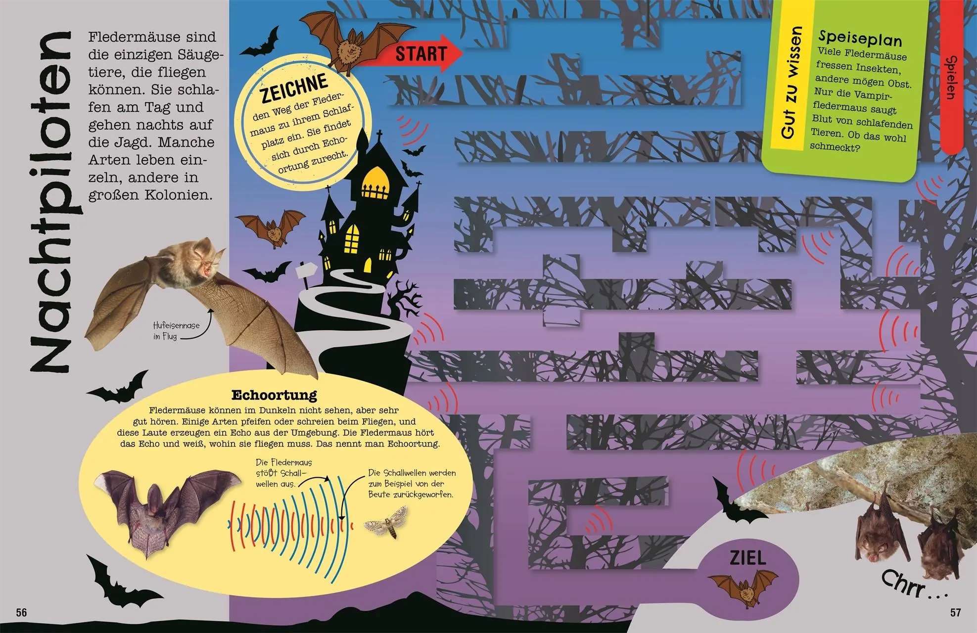 Bild: 9783831048922 | Mein Mitmach-Wissens-Kick. Tiere | DK Verlag - Kids | Taschenbuch