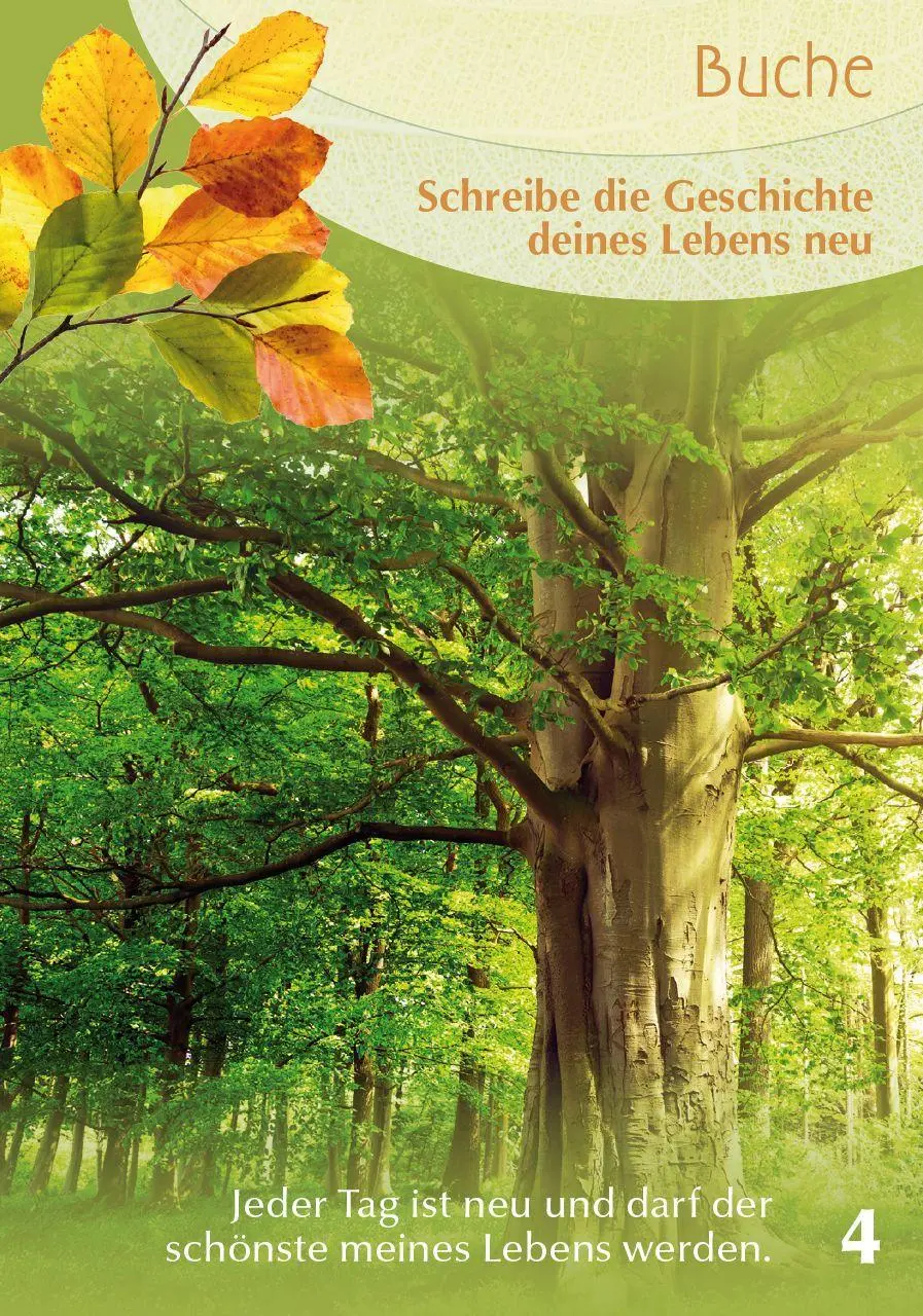 Bild: 9783894278922 | Baumgefährten | Isabel Arends | Schachtel | 200 S. | Deutsch | 2021