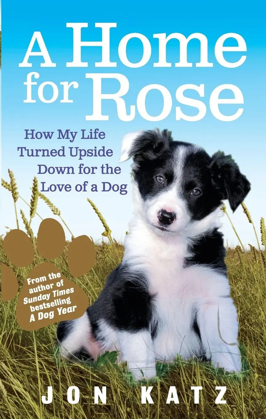 Cover: 9780091929022 | A Home for Rose | Jon Katz | Taschenbuch | Englisch | 2009